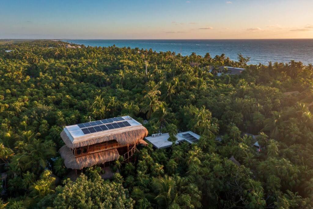 Stunning Jungle Treehouse With Lakefront & Beachside *